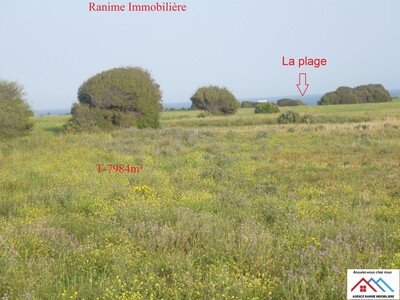 Terrain agric de 7985 avec titre bleu