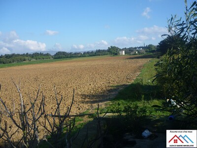 Agricultural land of 5 acres sakwi with blue title
