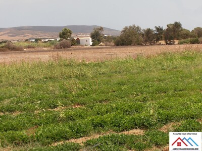 Terrain agricole de 2430 avec TBleu