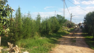 Terrain 1600 à Hammamet Sud