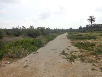 terraina bareket essahel 40MD