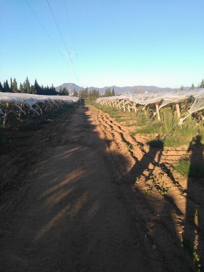 ferme sultan Morneg el yasmina