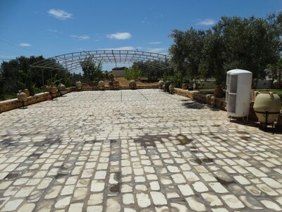 Ferme MOURAD BirBouregba vente