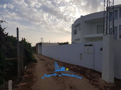 Terrain Mhammed Hammamet