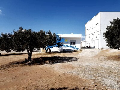 Terrain Diamant Hammamet Nord