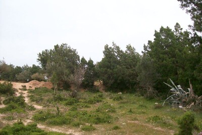 Field Hammamet 1211 m² VT: 358 +.