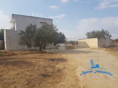ihsen 2 sidi Hall field