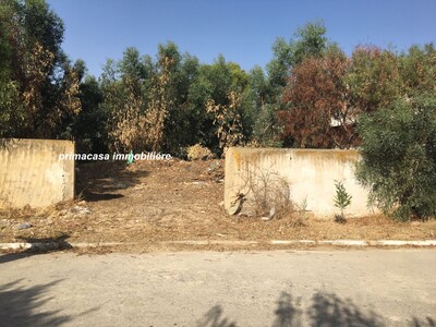 terrain sandra jinen hammamet