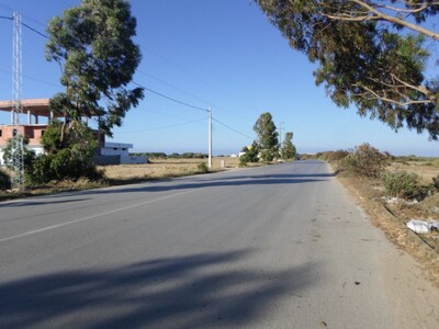 HAMMAM GHAZEZ REF FIELD