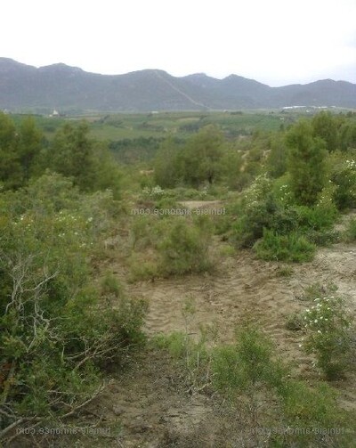 Un terrain de 284 ha situé à Sidi Salem Garsi Mornag
