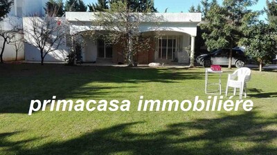 villa Dora La sokkra