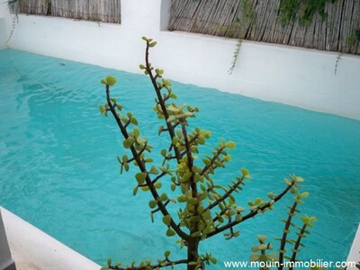 A Dar Arabesque avec piscine