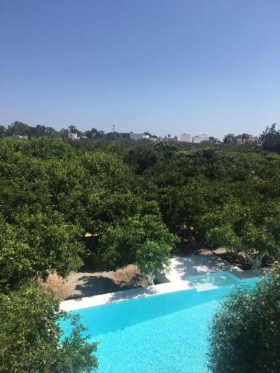 Villa du NEIGE Location Hammamet