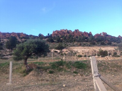Terrain de 4000m à la campagne d'hammamet