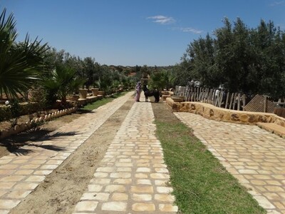 Ferme MOURAD  BirBouregba  REF