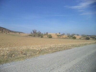 32 hectares case av in zaghouan jradou