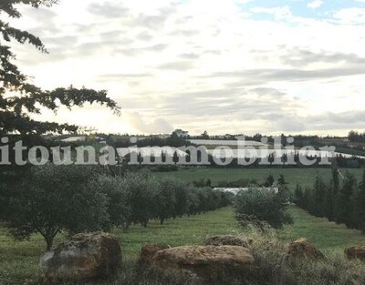 A vendre une ferme à Morneg de 11 Hectars 3550VF