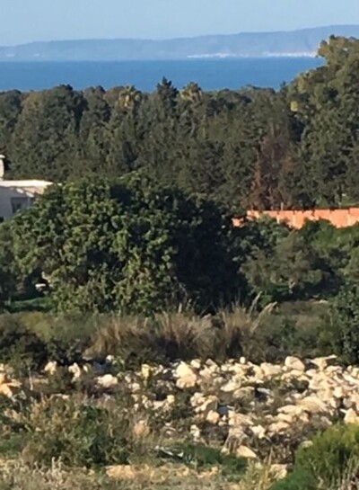 TERRAIN GAMMART AGENCE JALEL MRAD