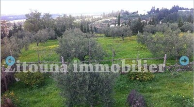 A vendre une ferme à Morneg 3354VF