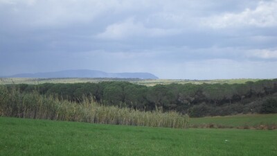 terrain agricole a kelibia ref t