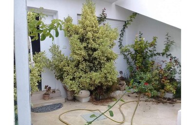 A vendre une villa à Hammamet centre de 150m