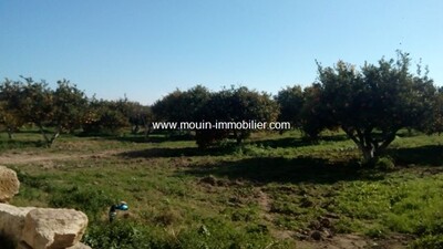 Ferme Bouargoub av à Nabeul Bouargoub