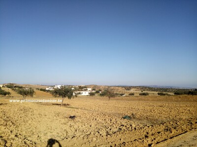 Terrain Hanen à latrach