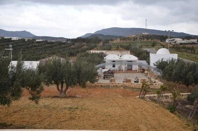 Ferme MOURAD  BirBouregbaREF