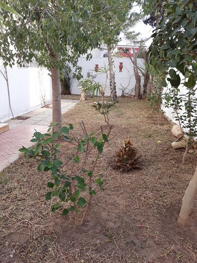 A Louer Villa Standing À Chott Meriem