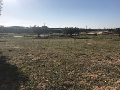 Terrain 1000m avec titre individuel Bassbassia yasmine hammamet