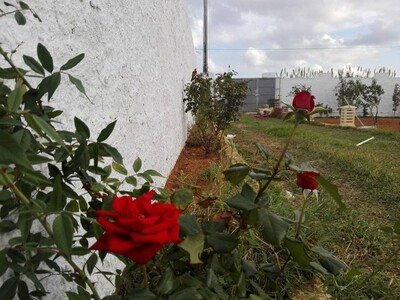 villa a dar allouche ref