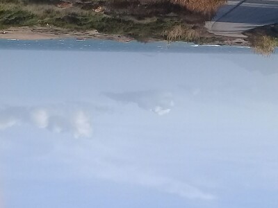 un terrain a vendre sur la rue principale