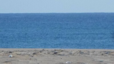 TERRAIN ECHRAF REF T