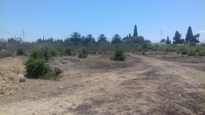 TERRAIN EMIR à la Sokra