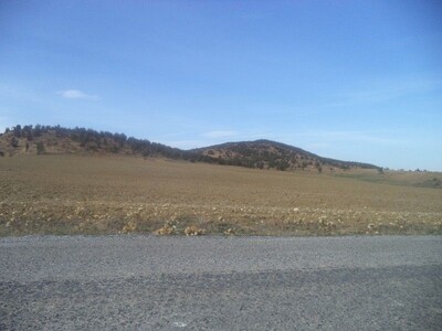 32 hectares in zaghouan jradou av