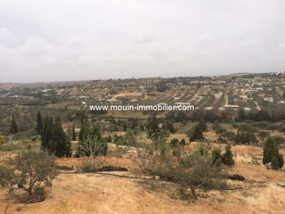 Terrain Viva AV à Oued Lassoued Birbouregba
