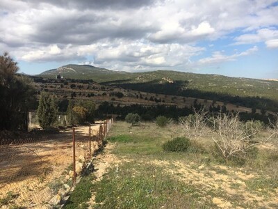 Terrain Soltan av à oued lassoued birbouregba