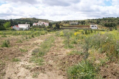 AV terrain 7000m² VT374