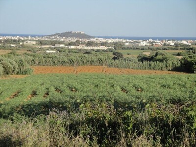 a vendre senia de 4 Ha a Kelibia