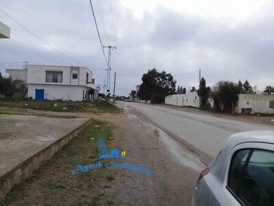 Land Sarra sidi Hamed