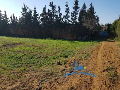 Ground Rebah Hammamet zone chraf