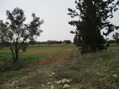 Terrain agricole de 3000 m à sidi jedidi Hammamet