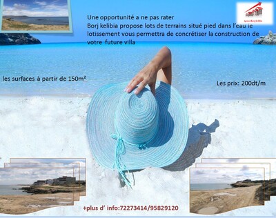 offre de lotissement à Dar Allouch