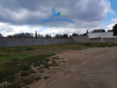 Terrain Hanen Hammamet