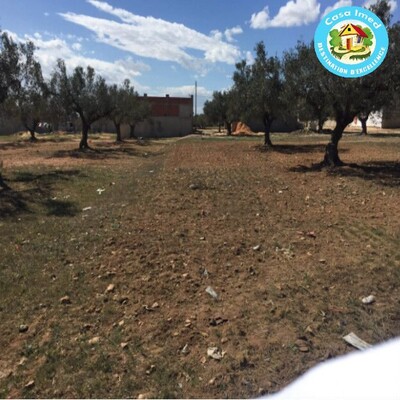 terrain dans une zone calme à Hammamet