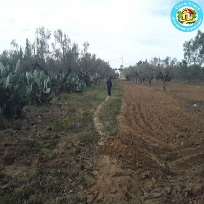 land for Barreket essehel Hammamet