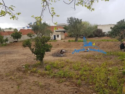 Terrain Lipo Hammamet