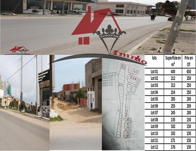un lotissement de 12 lots à kélibia profitez