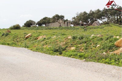 un terrain extraordinaire à kélibia