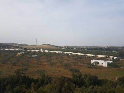 Terrain agricole 4900 à Hammamet